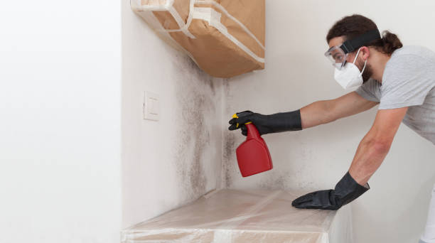 Professional Attic Mold Remediation technician working in New Germany, MN